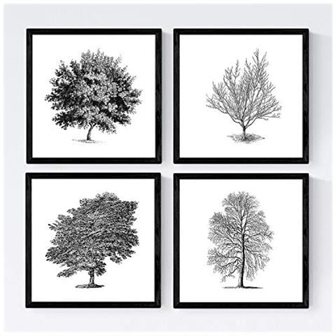 Set Di 4 Stampe Fogli Di Alberi Alberi Compensati E Foglio Perenne Di Carta Bianca Poster Carta Da Poster E Inchiostri Senza Cornice 30x30 Cm - Foto 1
