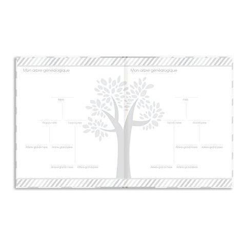 Chevron Bambino Memoria Libro Con Clean Touch Pad Inchiostro Per Creare Handprint O Footprint Versione Francese Grigio - Foto 2