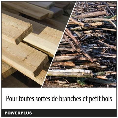 Motosega A Batteria Powerplus - Foto 6