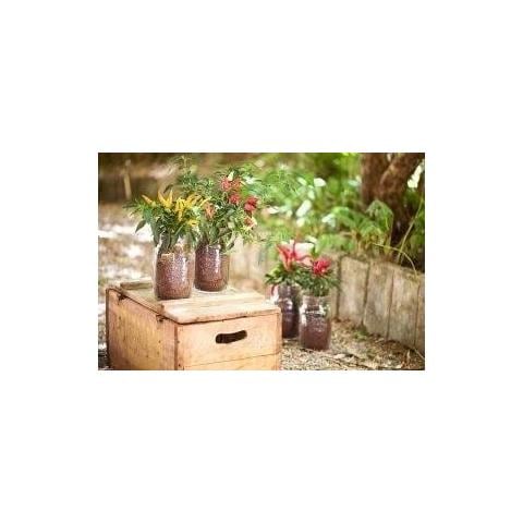 Bormioli Barattolo 4 Stagioni Con Tappo 1 Litro - Foto 2