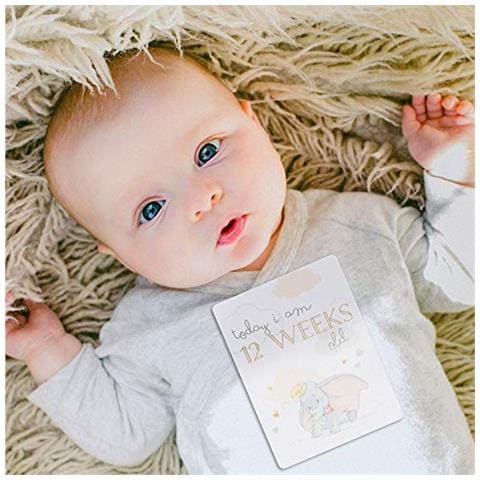 Carte Disney Baby Dumbo 24 Milestone Per Keepsake Foto - Foto 4