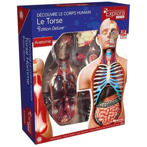 Explora - Anatomia Del Torso Umano - Esperimento Di Anatomia - Foto 1