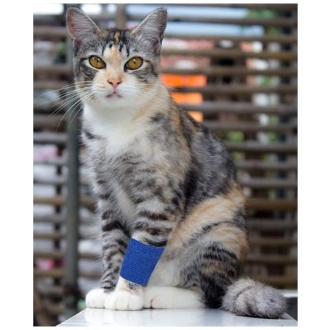 Bende Autoadesive Traspiranti Colorate 24 Pezzi 7,5 Cm X 4,5 M - Foto 2