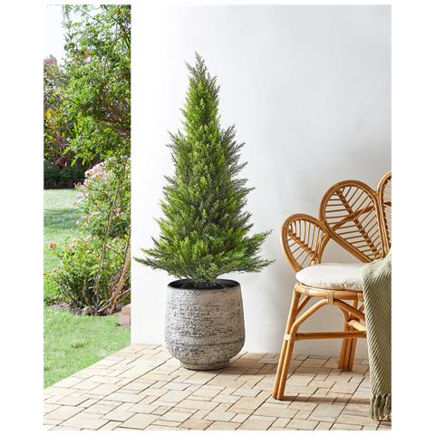 Pianta Artificiale In Vaso 120 Cm Cedar Tree - Foto 1