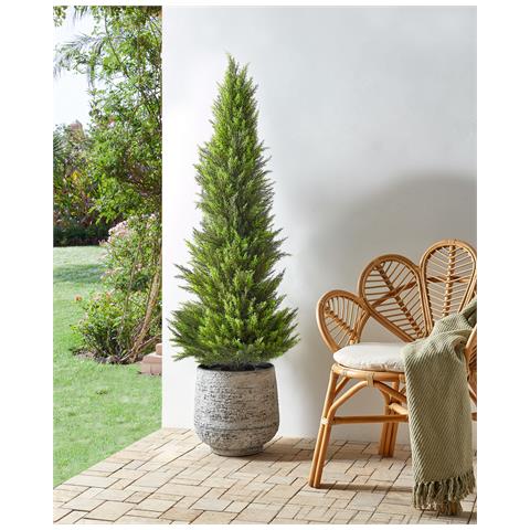 Pianta Artificiale In Vaso 153 Cm Cedar Tree - Foto 1
