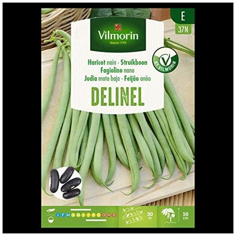 Kit 5 Pacchetti Fagiolino Nano Delinel - Foto 1