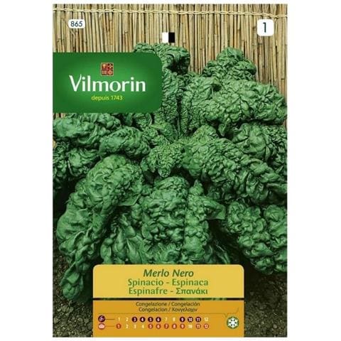Semi Spinacio Merlo Nero S1-865 15 Gr, Confezione Da 10 Bustine. - Foto 1