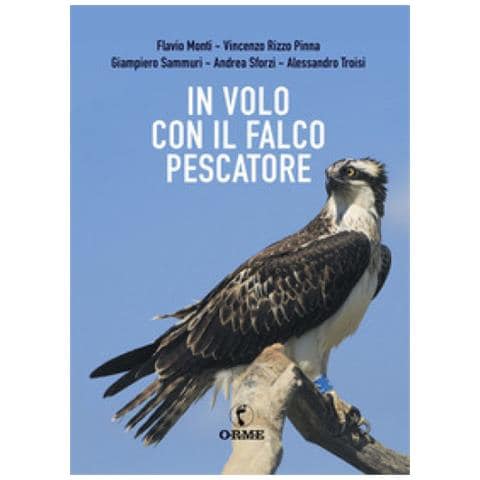 Flavio Monti - In volo con il falco pescatore - Foto 1