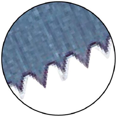 T 101 BF: latifoglie Clean: 5uds (10) - Foto 2