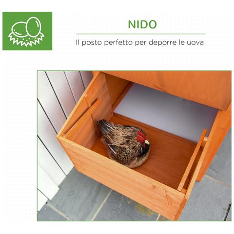 Pollaio in Legno Prefabbricato con Nido per la Cova e Casetta con Vassoio Estraibile - Foto 2