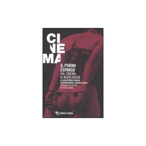 E. Biasin - Il porno espanso. Dal cinema ai nuovi media - Foto 1