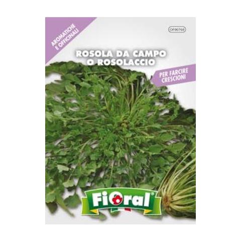 Rosola Da Campo / Rosolaccio / Papavero Rosso - - Foto 1