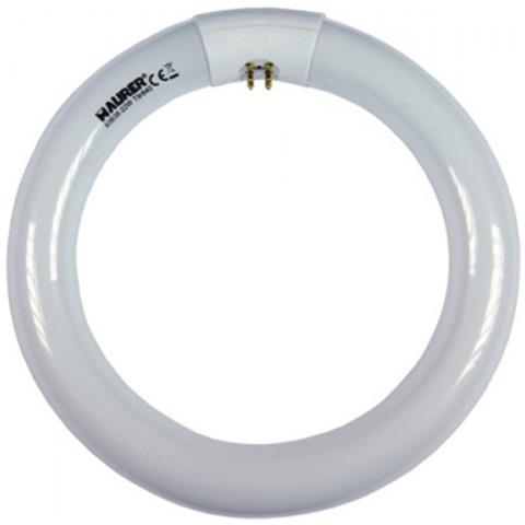 Tubo Neon Circolare T9 32W Ø310 mm Luce Fredda - Foto 2