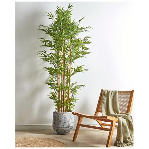 Pianta Artificiale In Vaso 220 Cm Bamboo - Foto 1