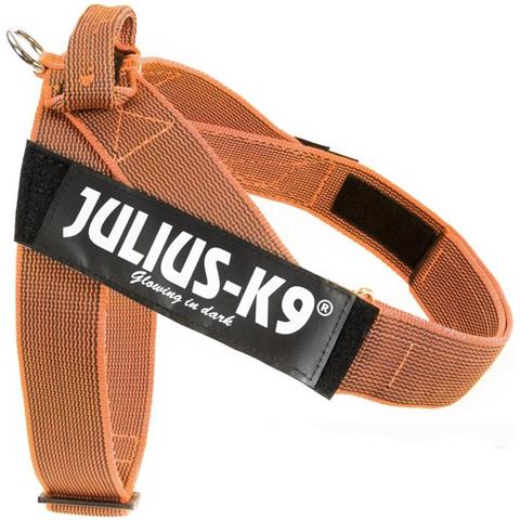 Arnes Idc Cinta Color & Gray300 Gr - Foto 1