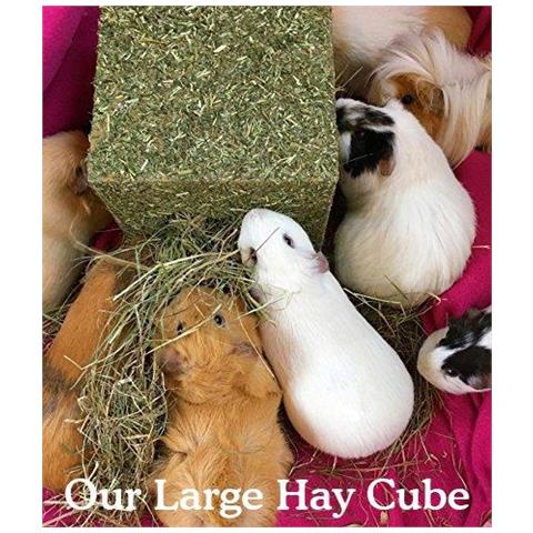 Naturals Io Amo Il Fieno Foraggio Cube Treat E Giocattolo Per Conigli Porcellino Dindia Cincill E Degus Grande - Foto 4