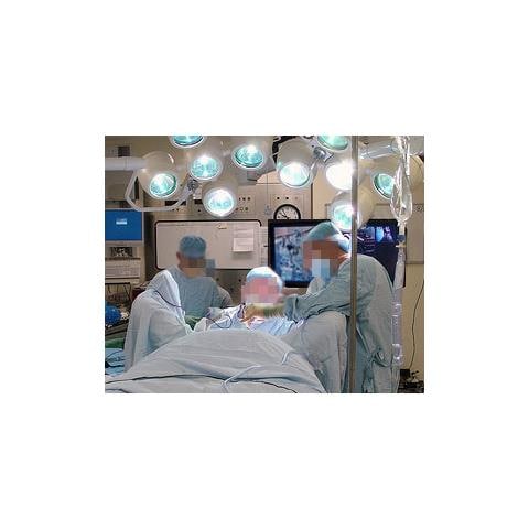 Interactive Arm, HD 139,7 cm (55") Alluminio Parete - Foto 15