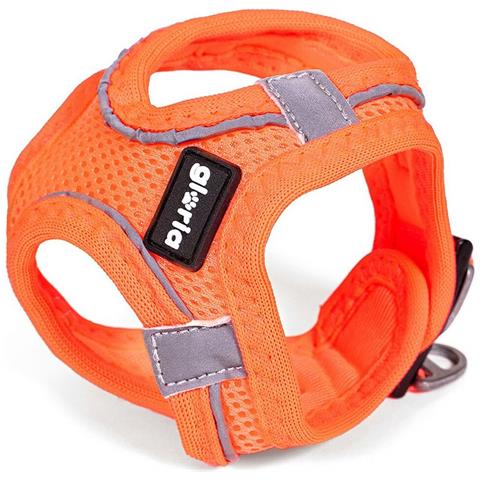 Imbracatura Per Cani Air Mesh Trek Star Regolabile Arancio L (33,4-35 Cm) - Foto 1