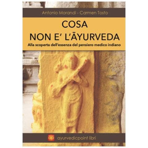 Antonio Morandi - Cosa non è l'Ayurveda. Alla scoperta dell'essenza del pensiero medico indiano - Foto 1