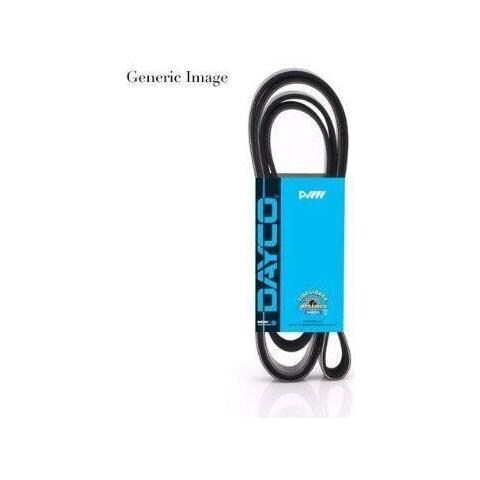 Cinturino Accessorio 6pk975 - Foto 1