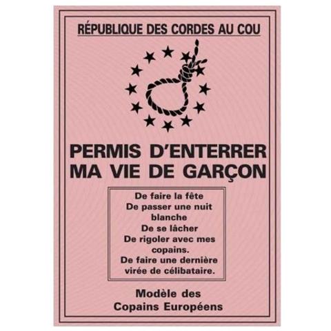 Permesso Di Addio Al Celibato Il Mio Addio Al Celibato. - Foto 1