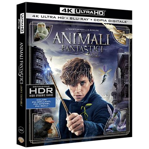 Animali Fantastici E Dove Trovarli (Blu-Ray 4K Ultra HD)  - Foto 3