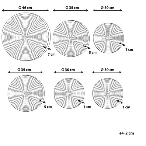 Set Di 6 Decorazioni Murali Alga Marina Multicolore Bacninh - Foto 8