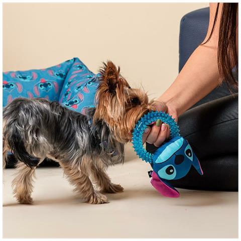 Giocattoli Per Cani Azzurro Eva 13 X 6 X 22 Cm - Foto 6
