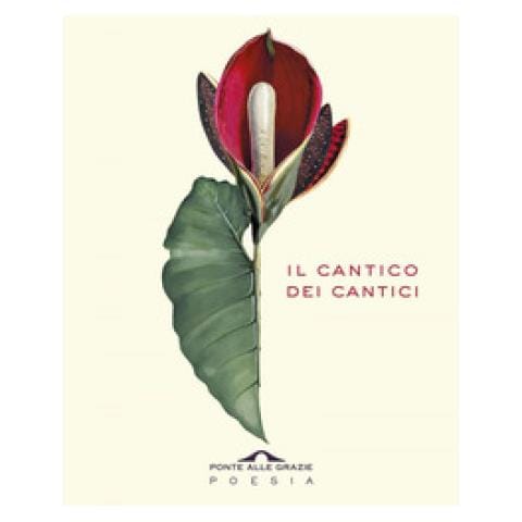 Piero Capelli - Il cantico dei cantici. Testo ebraico a fronte - Foto 1