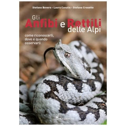 Stefano Bovero - Gli anfibi e rettili delle Alpi. Come riconoscerli, dove e quando osservarli. Ediz. a colori - Foto 1