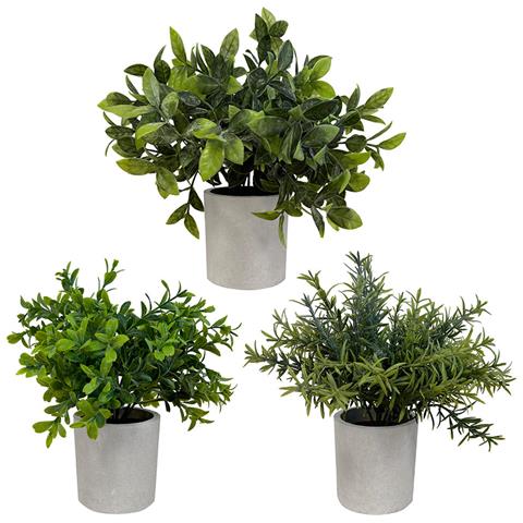 Set Di 3 Piante Artificiali, Vaso Grigio, Misura 20 Cm - Foto 4