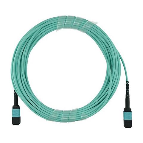 QSRCABLE1M cavo InfiniBand e in fibra ottica 1 m MPO Colore acqua - Foto 1