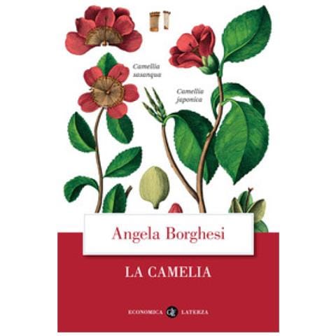 Angela Borghesi - La Camelia - Foto 1