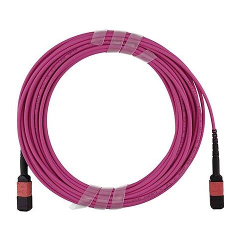 CBL-MPO12-OM4-1M cavo InfiniBand e in fibra ottica MPO Rosa - Foto 1