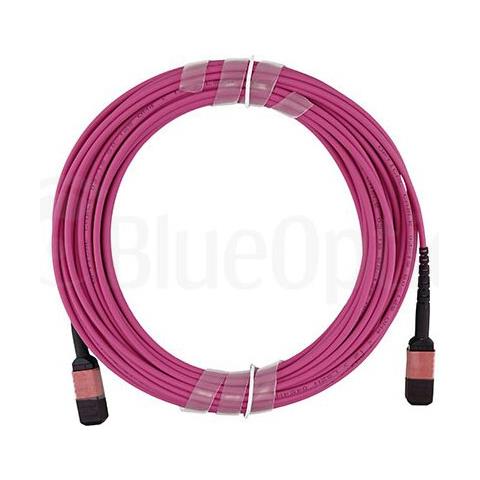 CBL-MPO12-OM4-1M cavo InfiniBand e in fibra ottica MPO Rosa - Foto 2