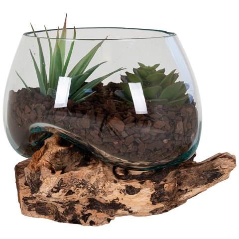 Terrario San Marino In Vetro Sferico Su Base In Radice Di Teak 15x15x15 Cm - Foto 1