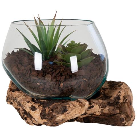 Terrario San Marino In Vetro Sferico Su Base In Radice Di Teak 15x15x15 Cm - Foto 2