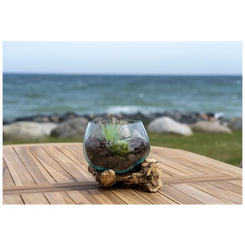Terrario San Marino In Vetro Sferico Su Base In Radice Di Teak 15x15x15 Cm - Foto 6