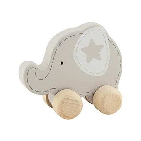 Sconosciuto Animale, Elefante - Foto 1