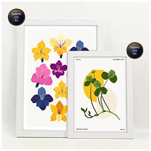 Set Di 6 Stampe Fiori Scala Cromatica Stampe Naturali E Botaniche Per L'interior Design A3 & A4 Cornice Bianca - Foto 1