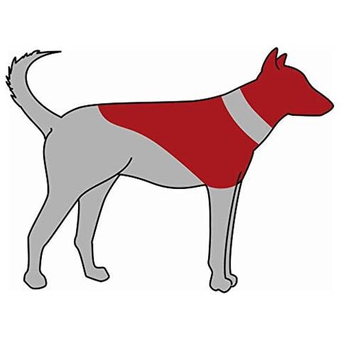 Protettiva Collare, Gonfiabile - Foto 3