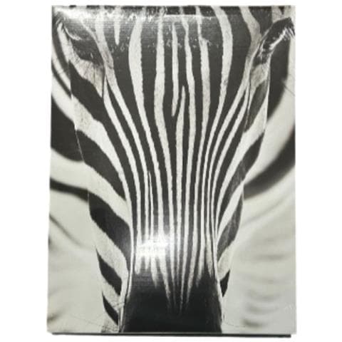 Scatola Guardaroba Cartone Stk1 - Foto 1