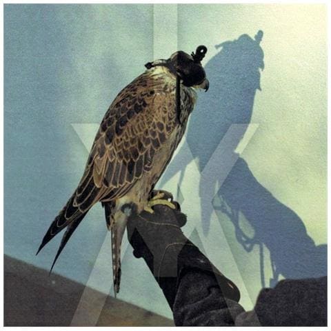 Iceage - You're Nothing - Foto 1