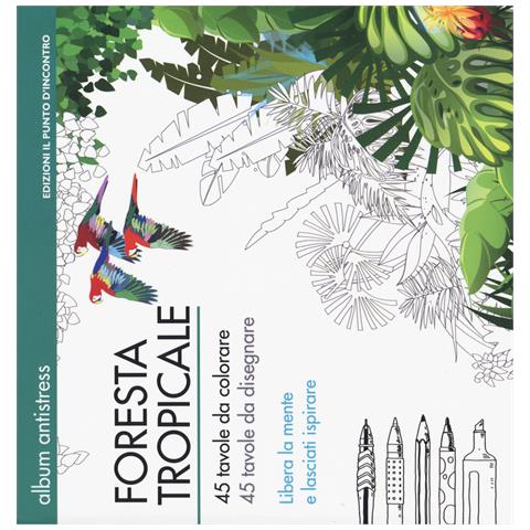 Foresta tropicale - Foto 1