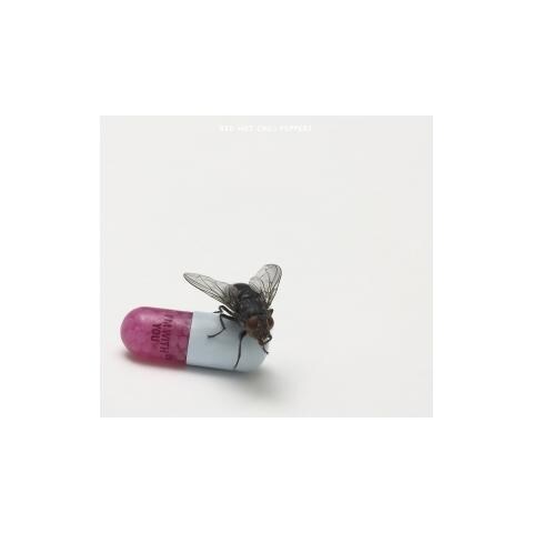 Cd Red Hot Chili Peppers - I'm With You - Foto 3