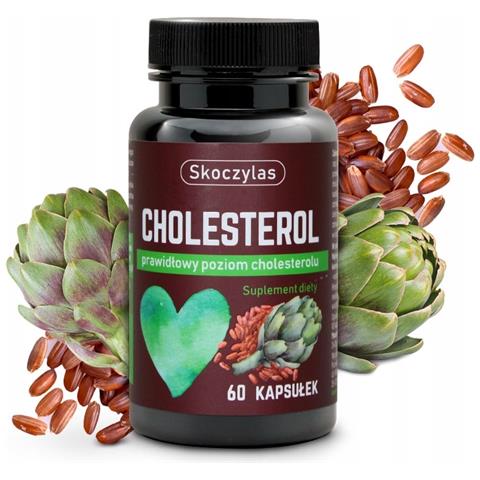 Metabolismo Del Colesterolo Lipidi Skoczylas - Foto 1