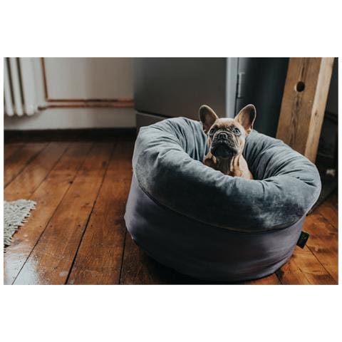 Letto Per Cani Miranda Grigio 50 X 50 Cm - Foto 5