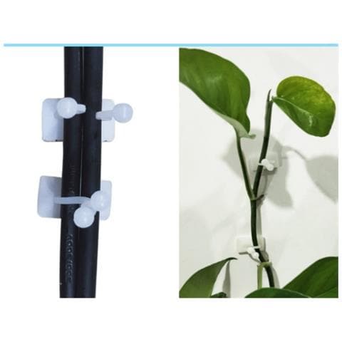 10 Clip Grandi Per Supporto Piante Rampicanti  M - Foto 3