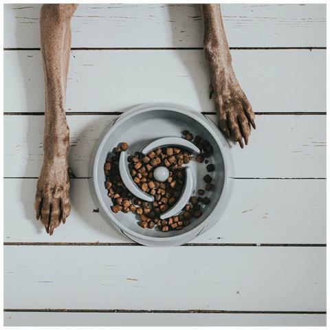 Ciotola Per Cani Hunter Melammina 550 Ml - Foto 5