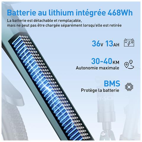 Bicicletta Elettrica da 26 Pollici, Motore da 250W, Batteria 36V 13Ah e Cambio a 21 Marce Nero - Foto 2